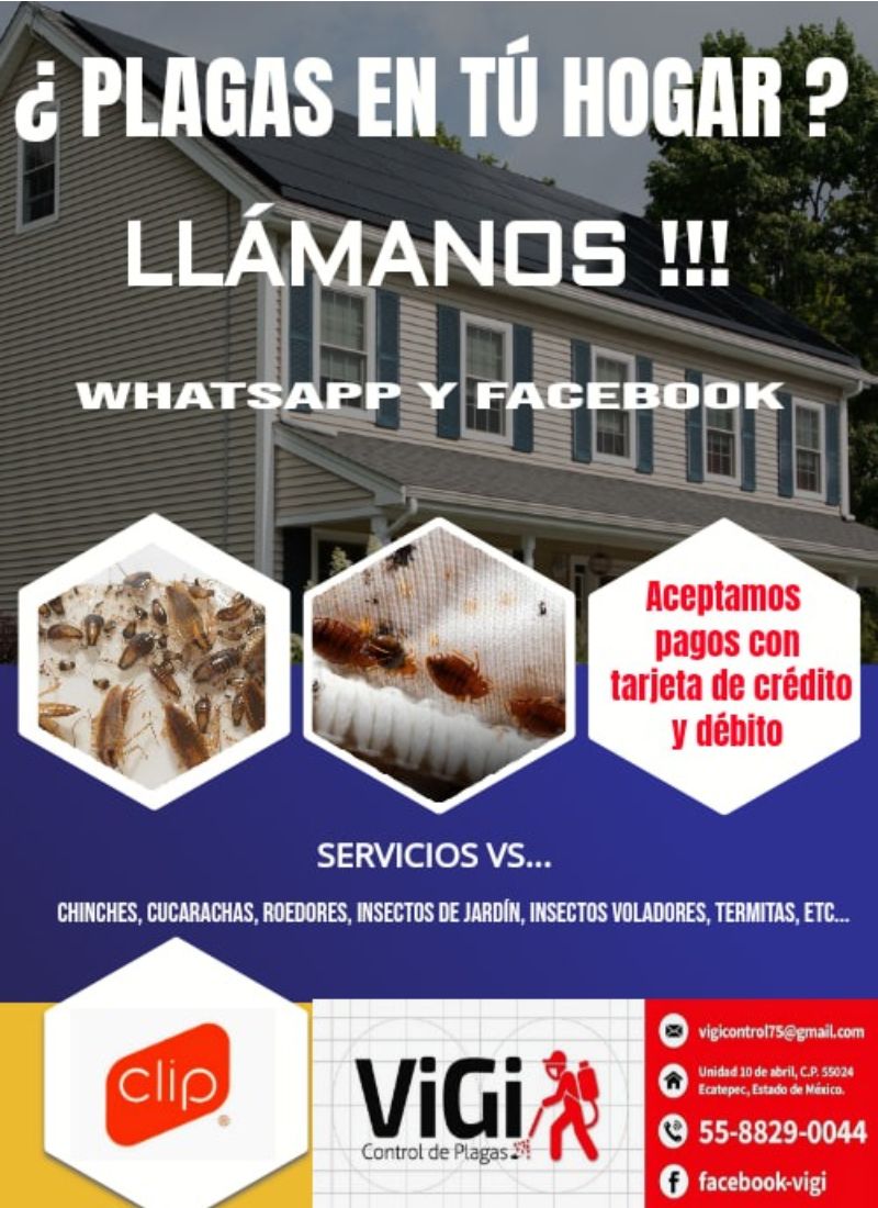 Vigi Control De Plagas